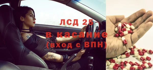 альфа пвп Новодвинск