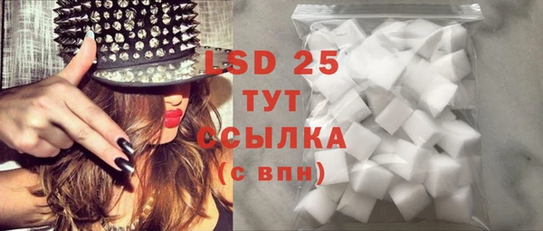 мдпв Новозыбков