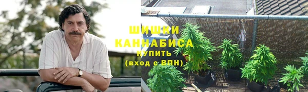 индика Касимов