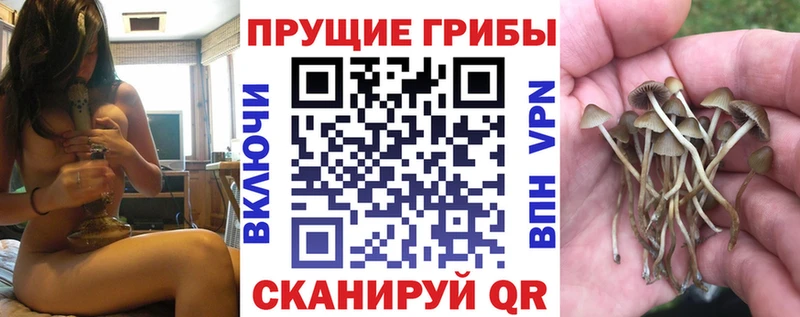 Галлюциногенные грибы Psilocybine cubensis  Лермонтов 