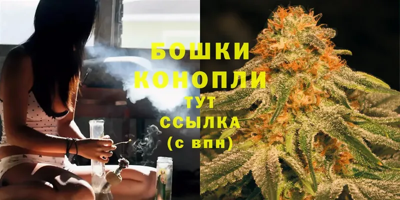 Шишки марихуана OG Kush  Лермонтов 